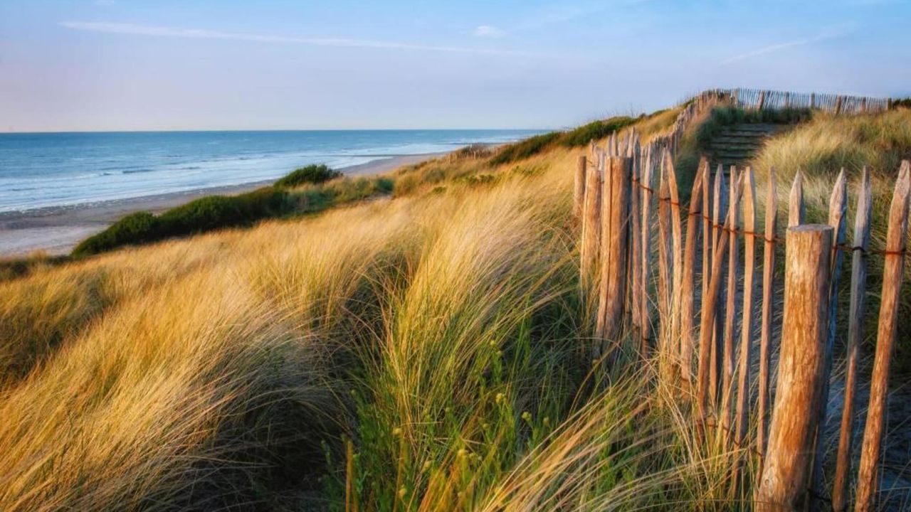 AreaSummer20KM AreaSummer20KM